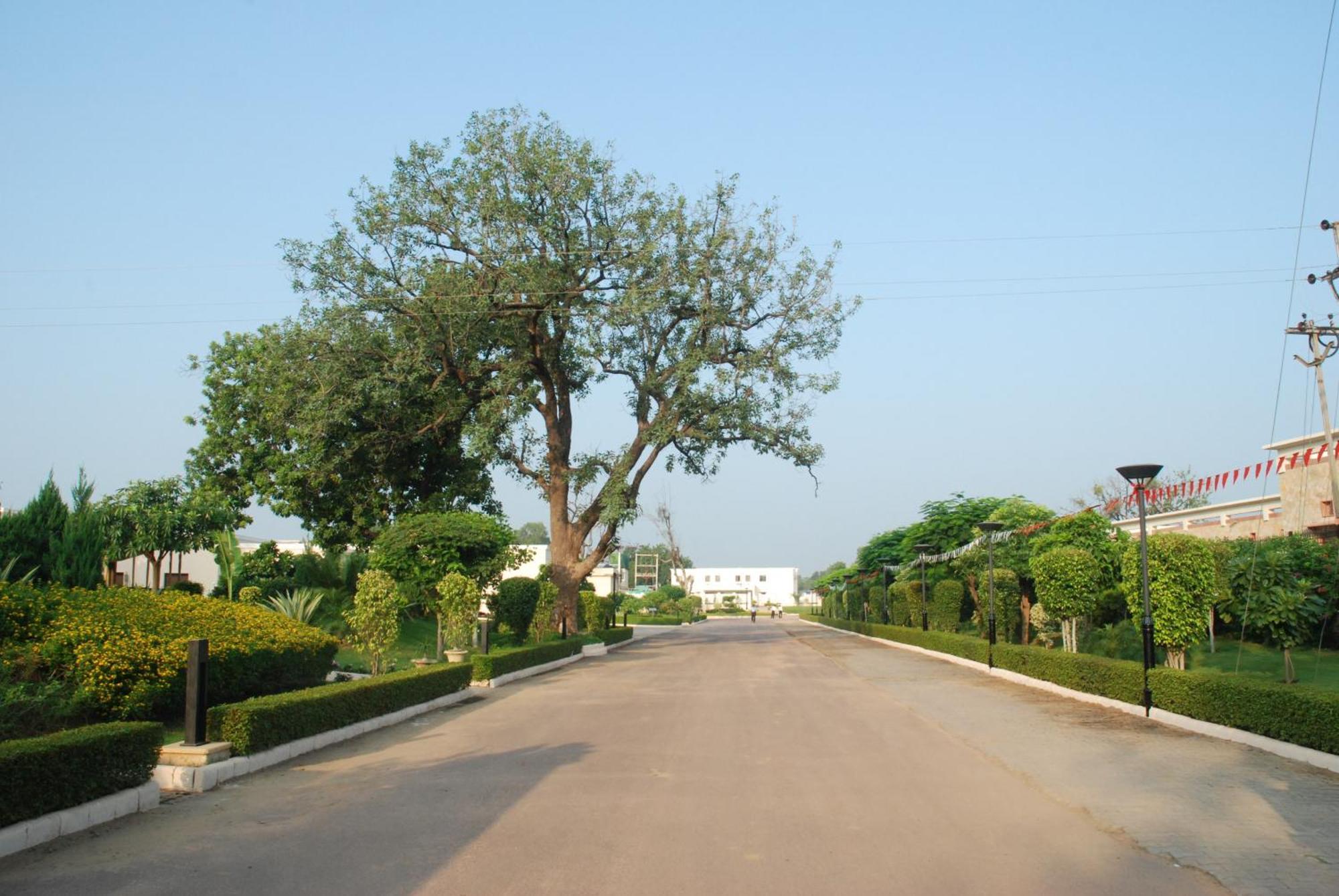 The Lalit Temple View Hotel Khajuraho Ngoại thất bức ảnh